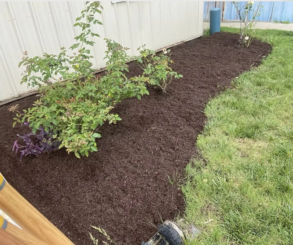 Expert residential landscaping with custom design in Chesapeake, VA by M.W.Cutting Edge Lawn-Care