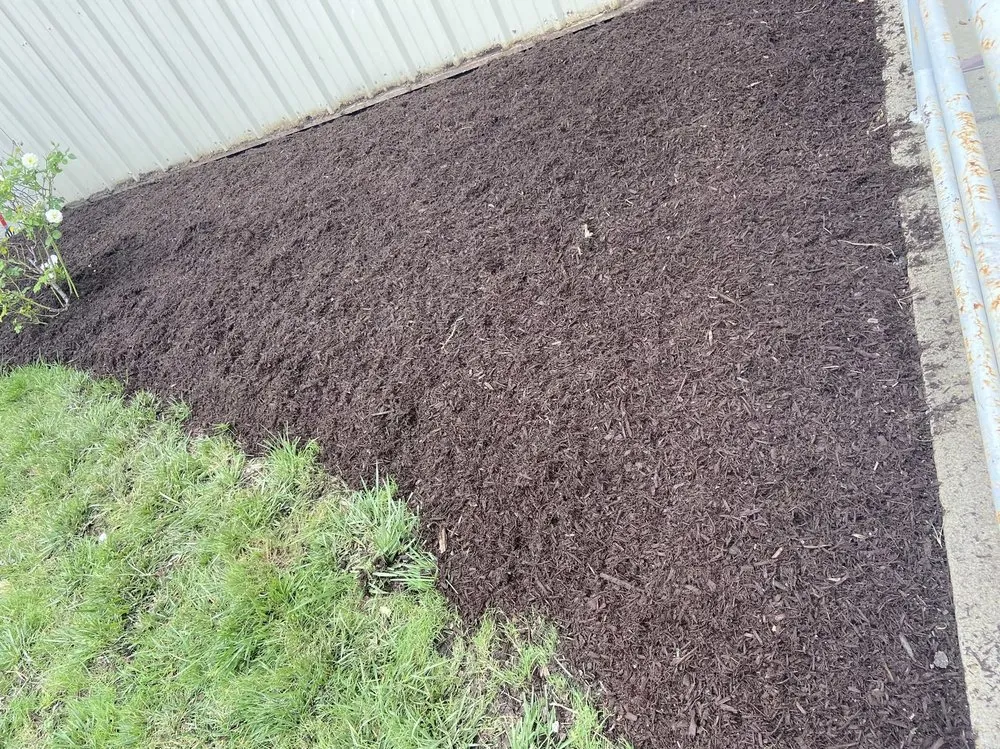 Expert yard cleanup service in Chesapeake, VA by M.W.Cutting Edge Lawn-Care