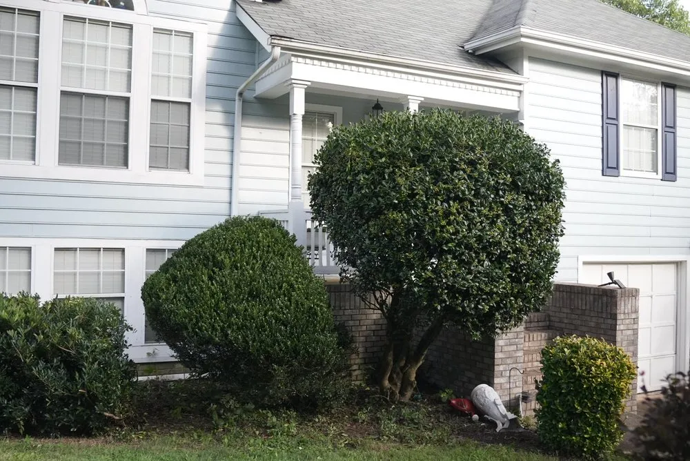 Professional lawn mowing service for outdoor upgrades across Charlotte, NC - Mweus Blessed Landscaping