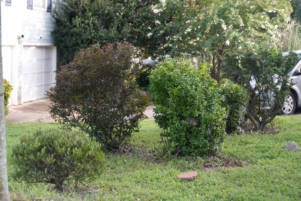 Reliable lawn care service for homes in Charlotte, NC by Mweus Blessed Landscaping