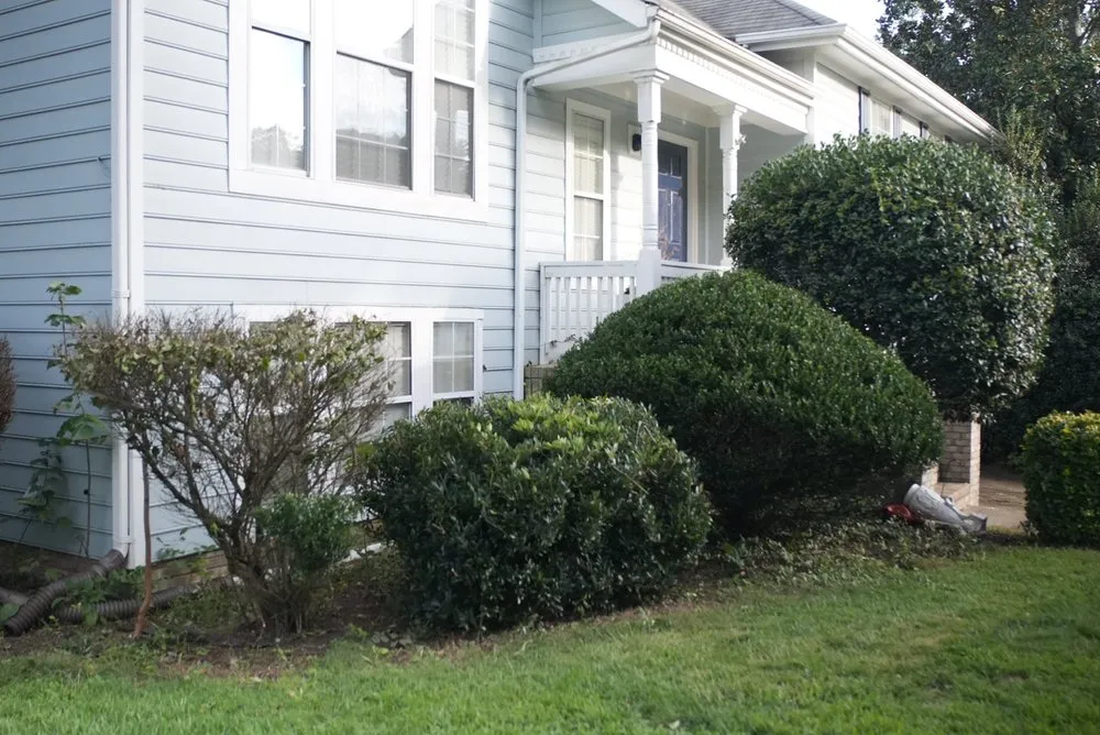 Professional garden landscaping near you across Charlotte, NC - Mweus Blessed Landscaping