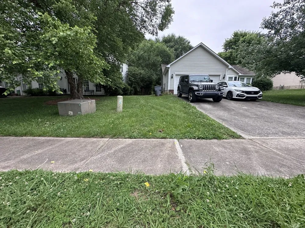 Local yard cleanup service in Charlotte, NC by Mweus Blessed Landscaping