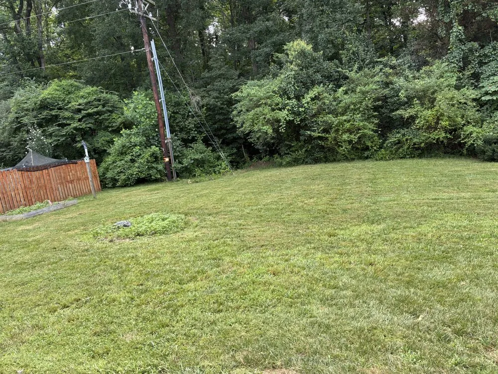 Reliable residential landscaping experts serving Charlotte, NC - Mweus Blessed Landscaping