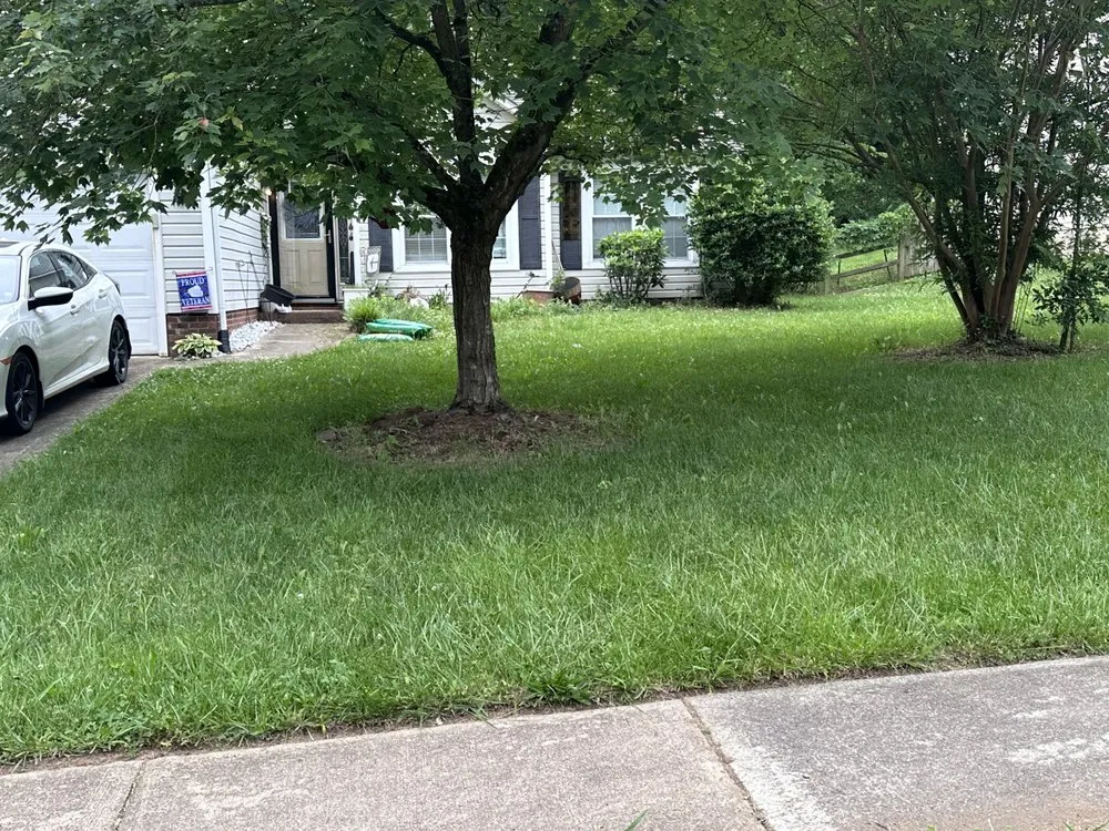 Professional residential landscaping in Charlotte, NC by Mweus Blessed Landscaping