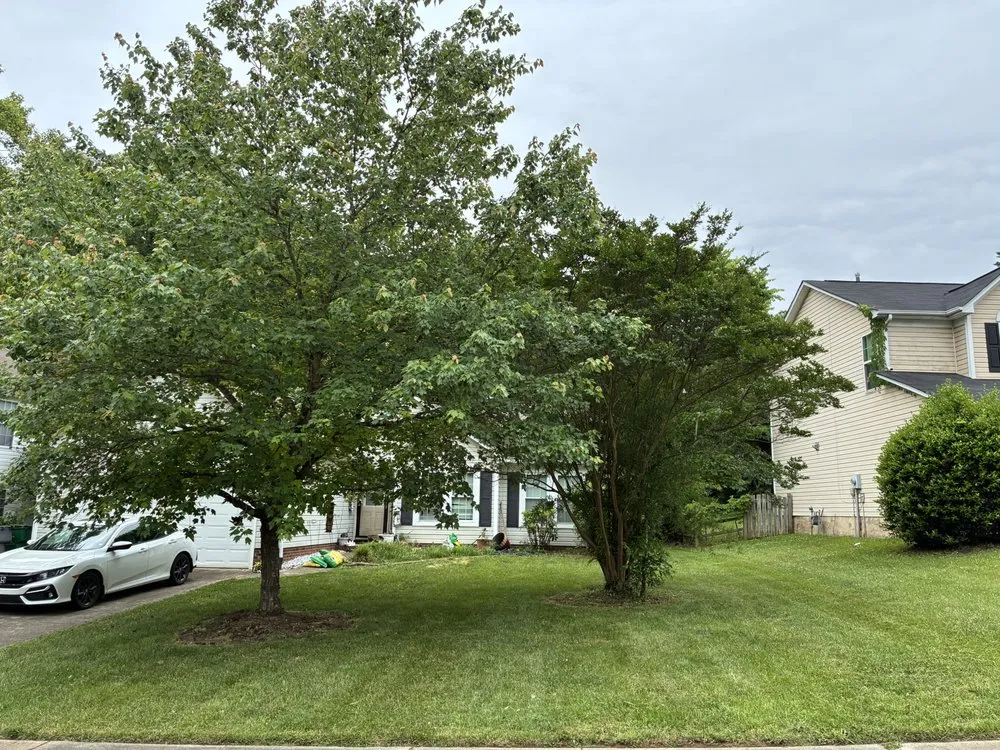 Expert yard maintenance with custom design across Charlotte, NC - Mweus Blessed Landscaping