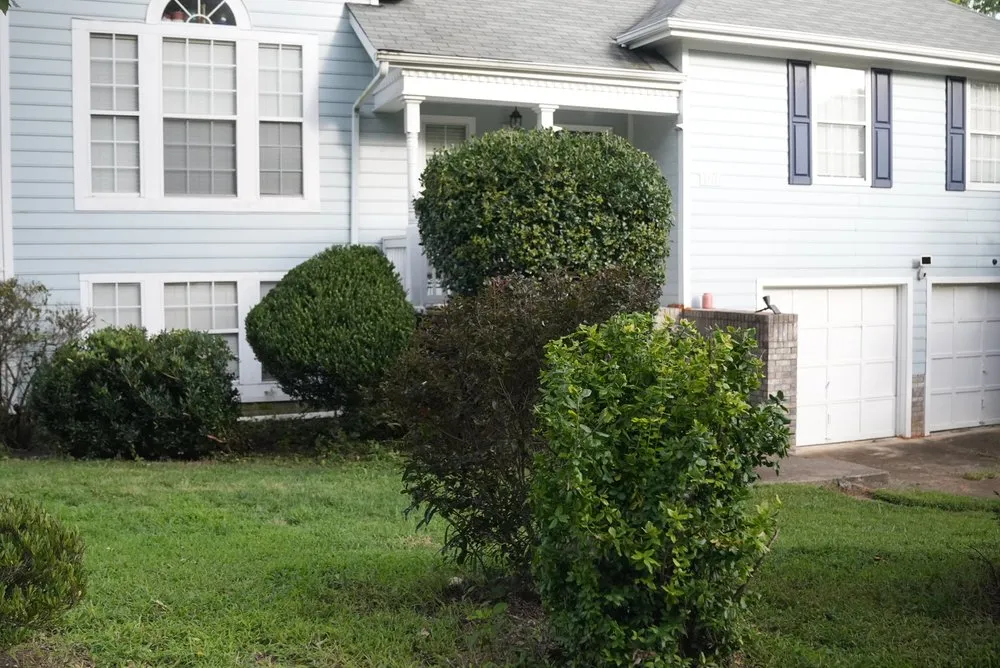 Expert lawn mowing service experts serving Charlotte, NC - Mweus Blessed Landscaping