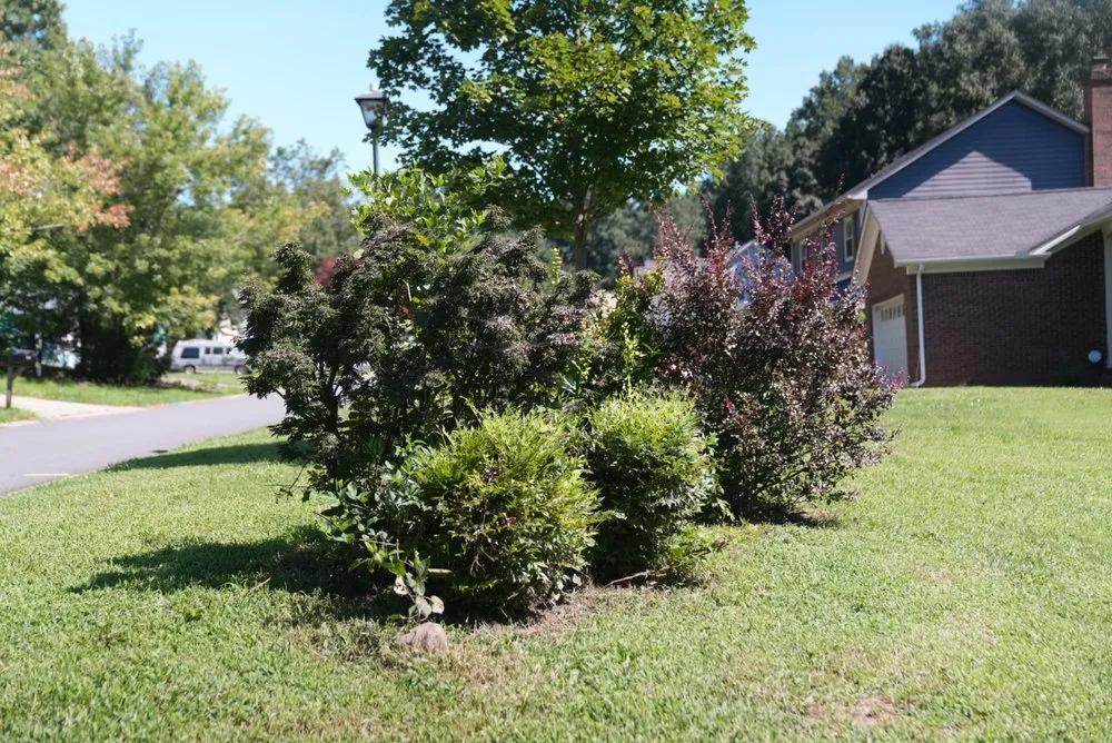 Top-rated outdoor landscaping for outdoor upgrades across Charlotte, NC - Mweus Blessed Landscaping