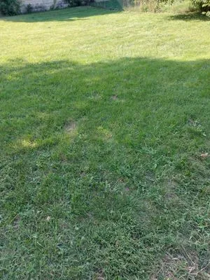 M&W'S Lawncare Business Logo