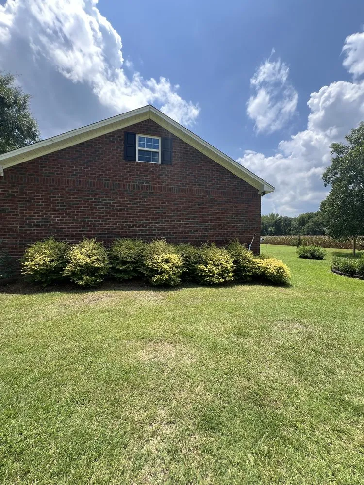 Top-rated lawn care service for year-round maintenance across Cades, SC - MW's Services