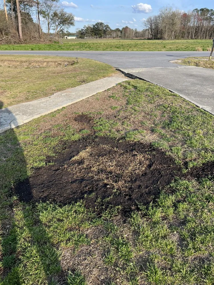 Custom residential landscaping in Cades, SC by MW's Services