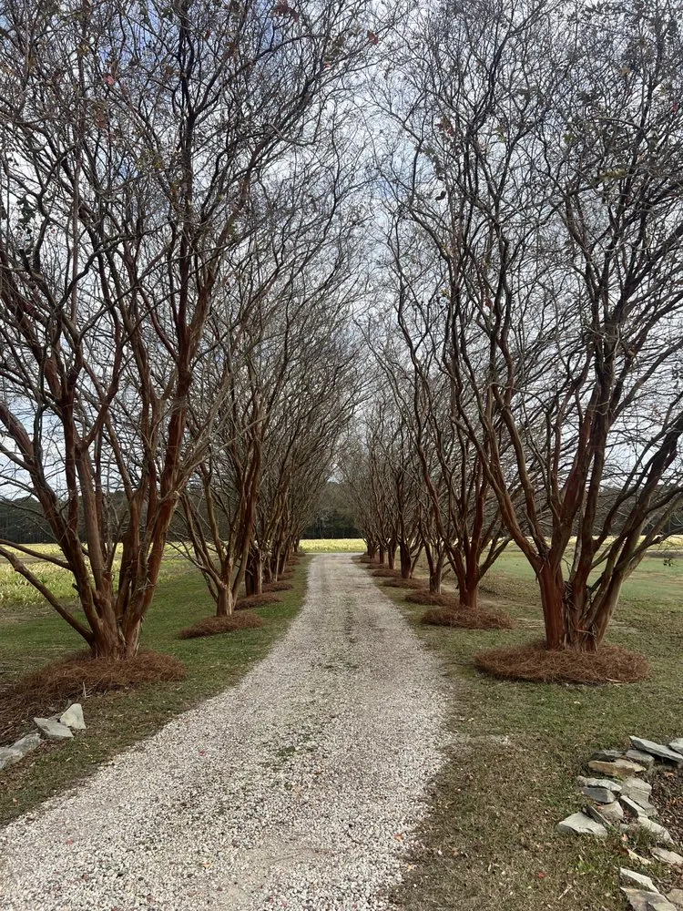Trusted landscape installation experts serving Cades, SC - MW's Services