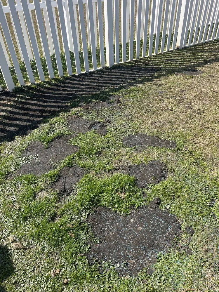 Top-rated landscape installation in Cades, SC - MW's Services