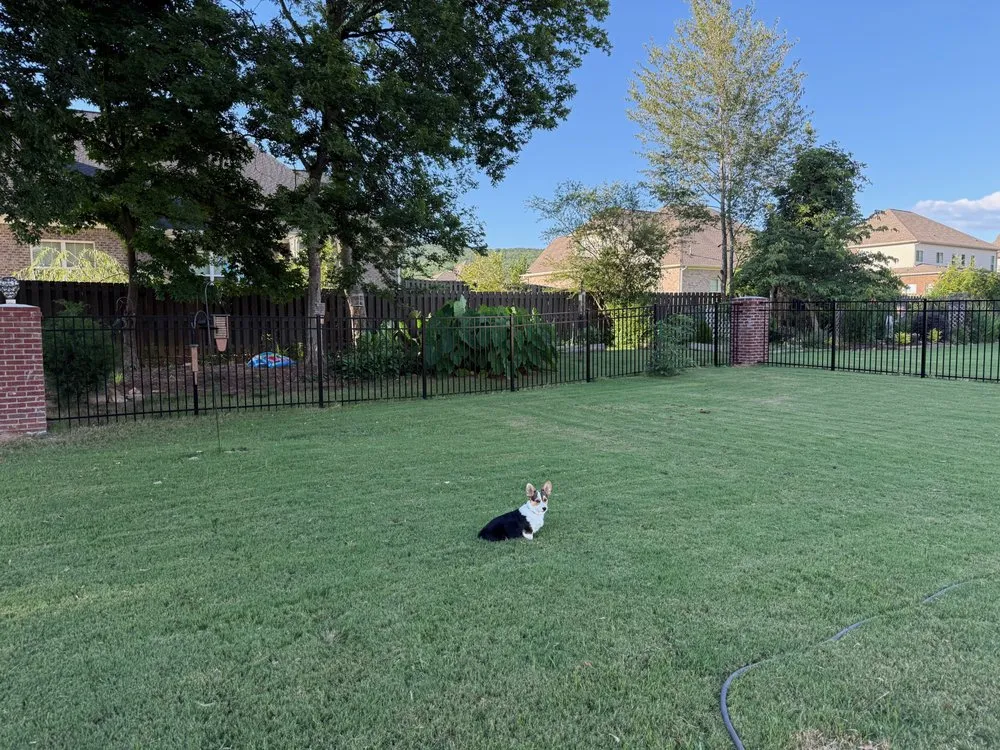 Reliable garden landscaping experts serving Guntersville, AL - M&X Fence and Landscaping