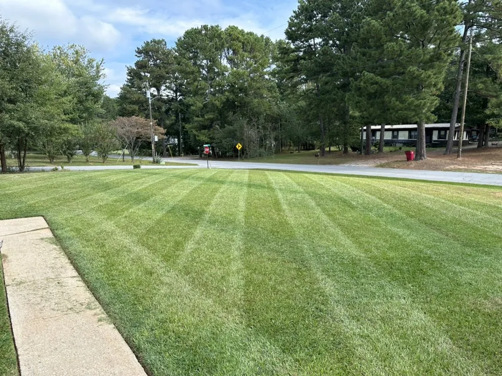 Professional yard maintenance in Auburn, GA by MX House And Property Services