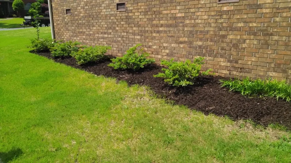 Affordable lawn mowing service in Arkadelphia, AR by MX Top Landscape