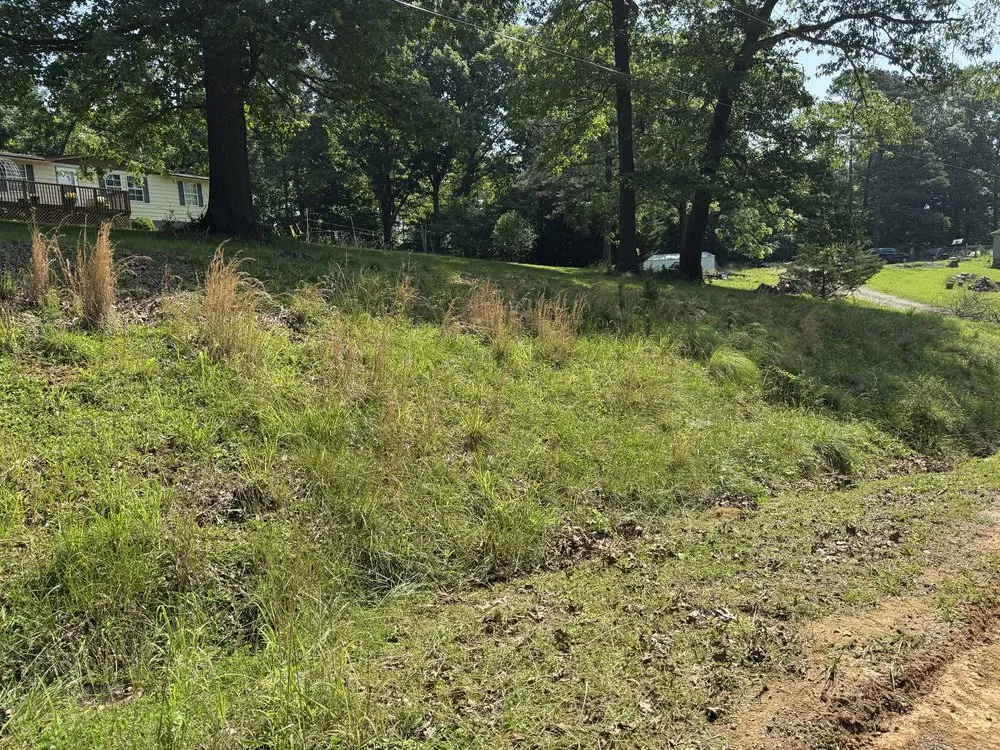 Professional landscape design for residential properties in Thaxton, VA by MXG Lawn Care