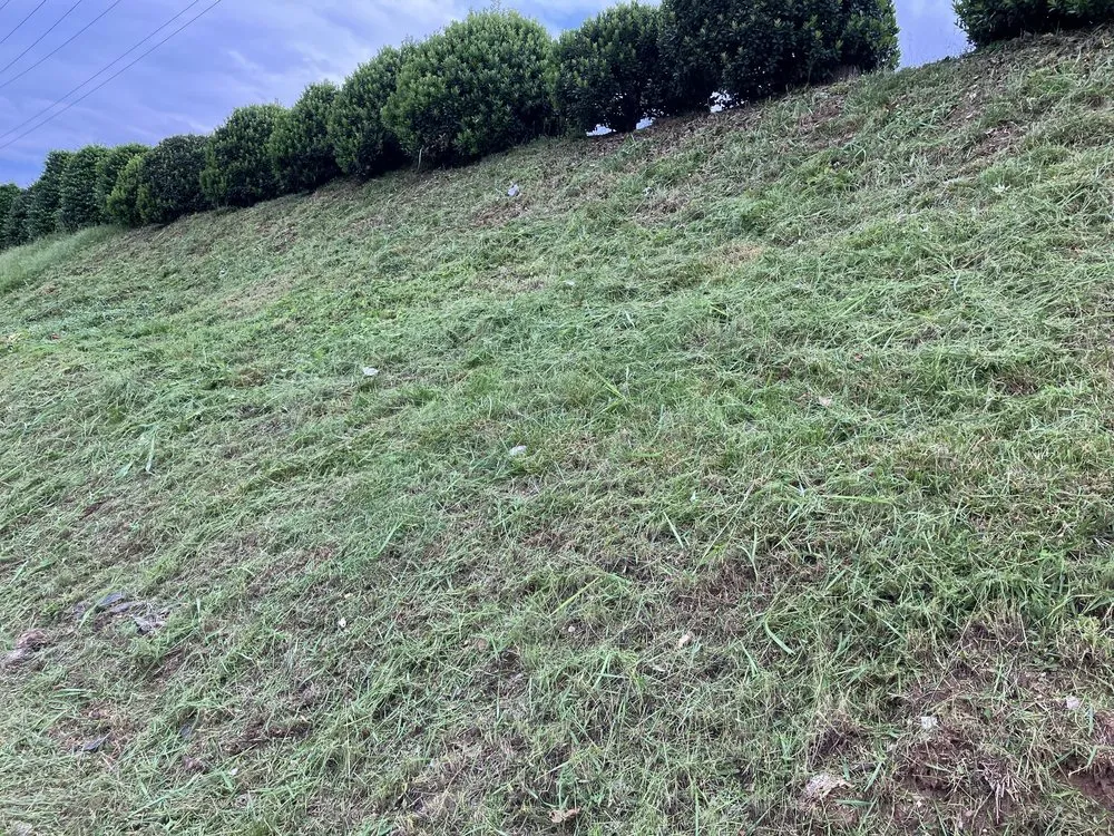 Local lawn care service in Thaxton, VA by MXG Lawn Care
