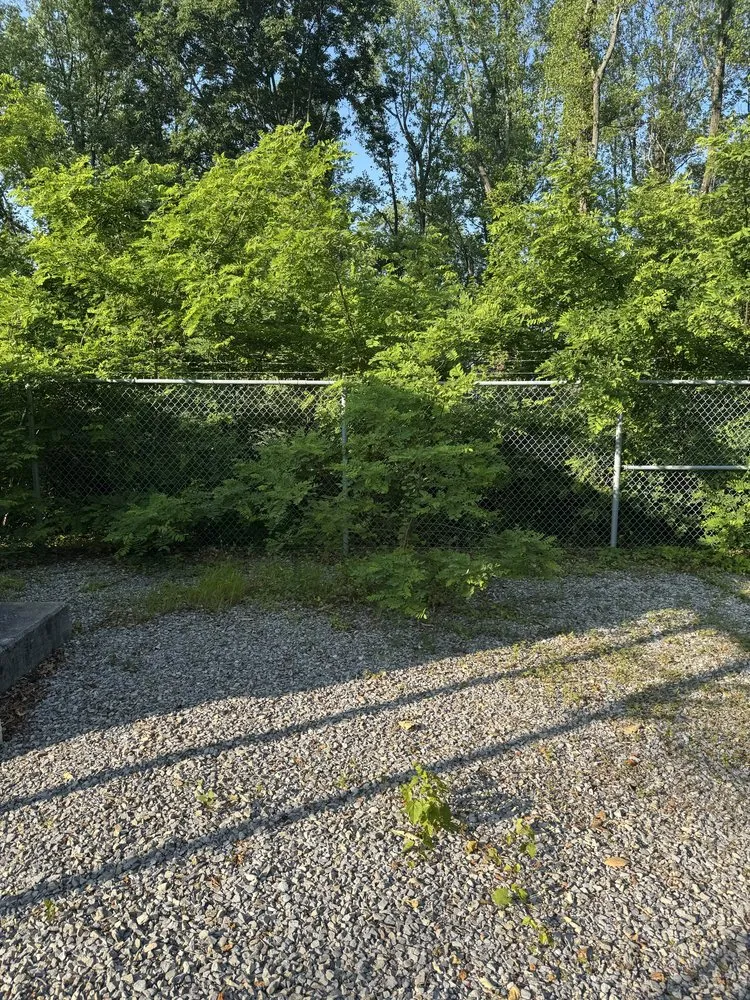 Affordable landscape design experts serving Thaxton, VA - MXG Lawn Care
