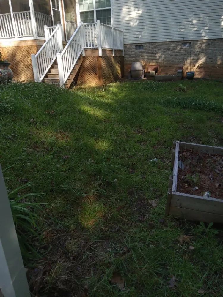 Expert landscape design in Sanford, NC - My 7 kids Mowing and more