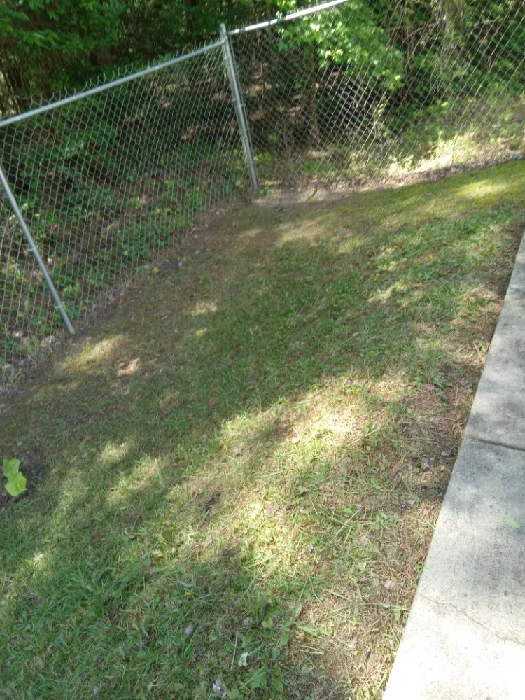 Reliable lawn mowing service near you across Sanford, NC - My 7 kids Mowing and more