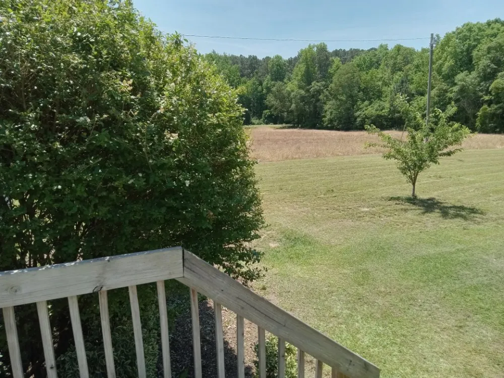 Top-rated yard maintenance in Sanford, NC - My 7 kids Mowing and more