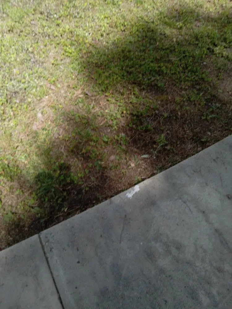 Top-rated landscape installation with custom design in Sanford, NC by My 7 kids Mowing and more