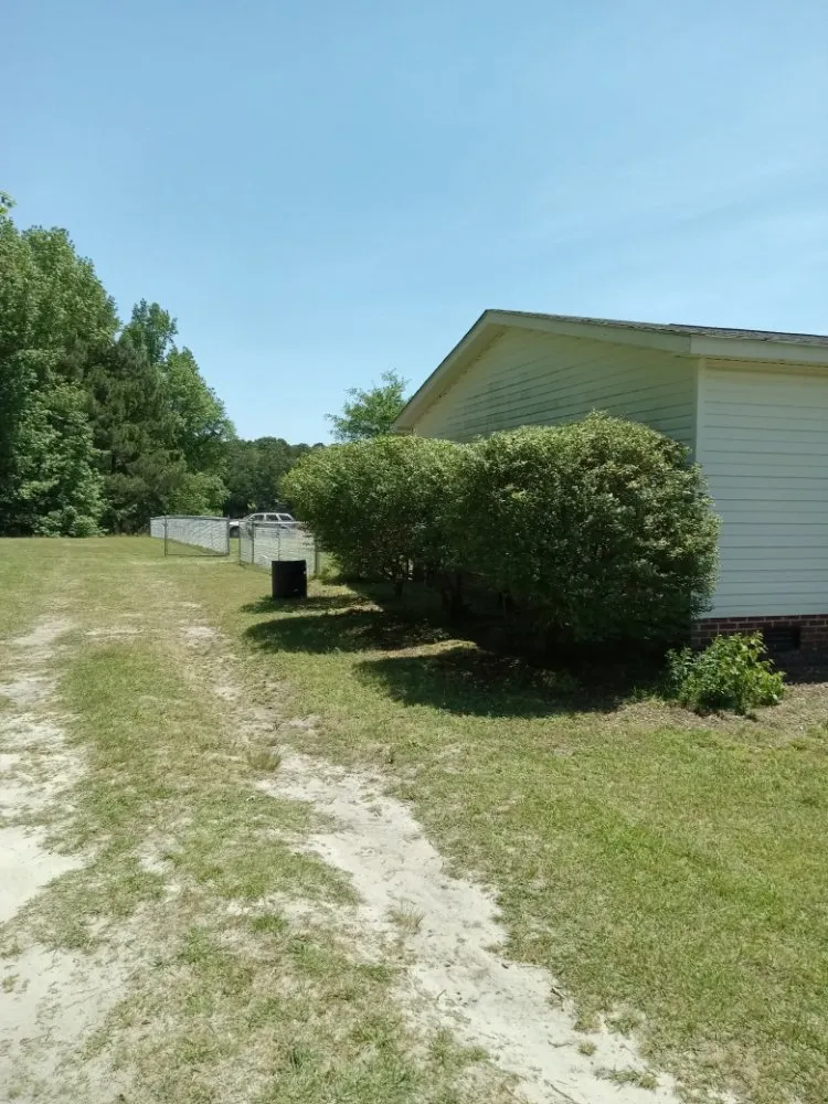 Top-rated yard cleanup service in Sanford, NC - My 7 kids Mowing and more