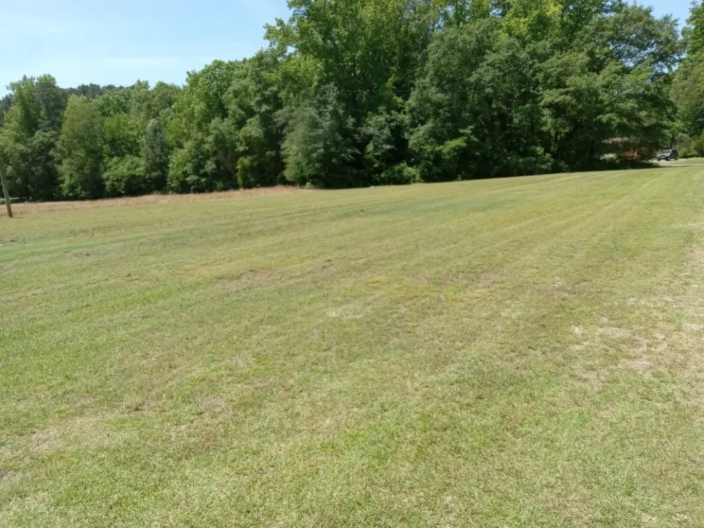 Reliable outdoor landscaping in Sanford, NC - My 7 kids Mowing and more