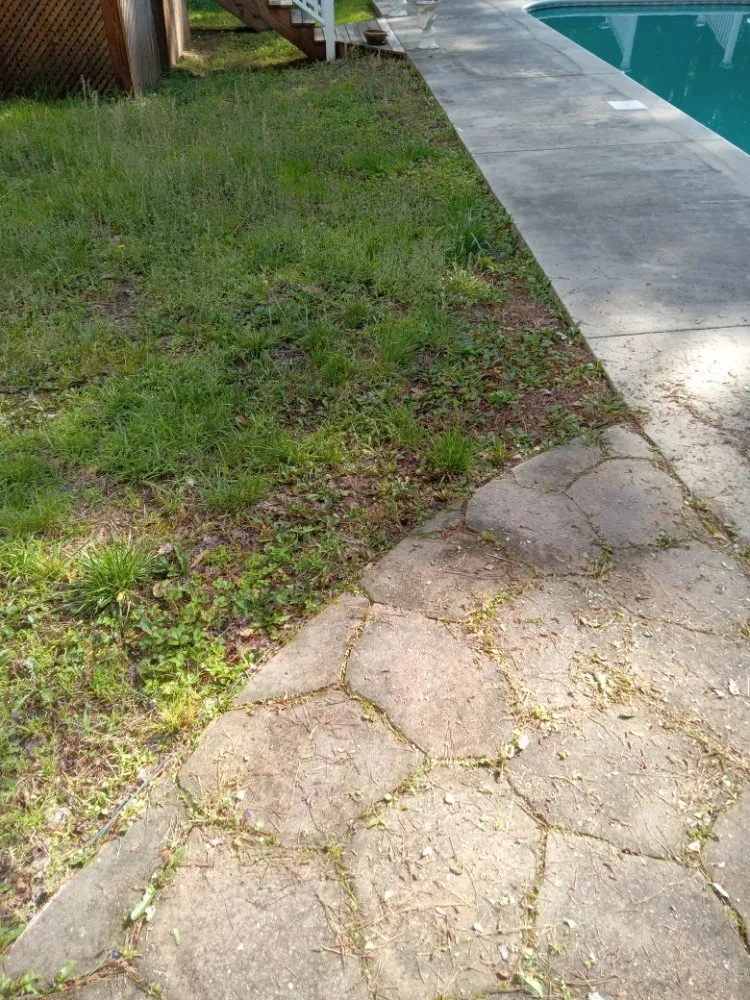 Expert garden landscaping for outdoor upgrades across Sanford, NC - My 7 kids Mowing and more