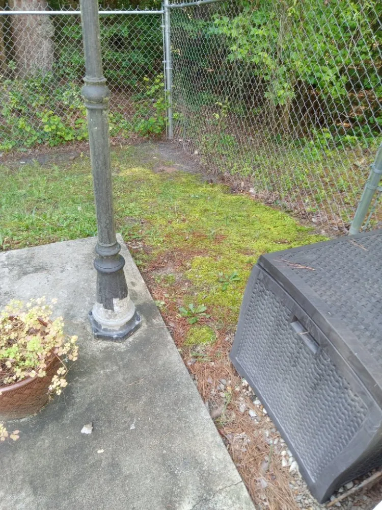 Local landscaping services for residential properties across Sanford, NC - My 7 kids Mowing and more