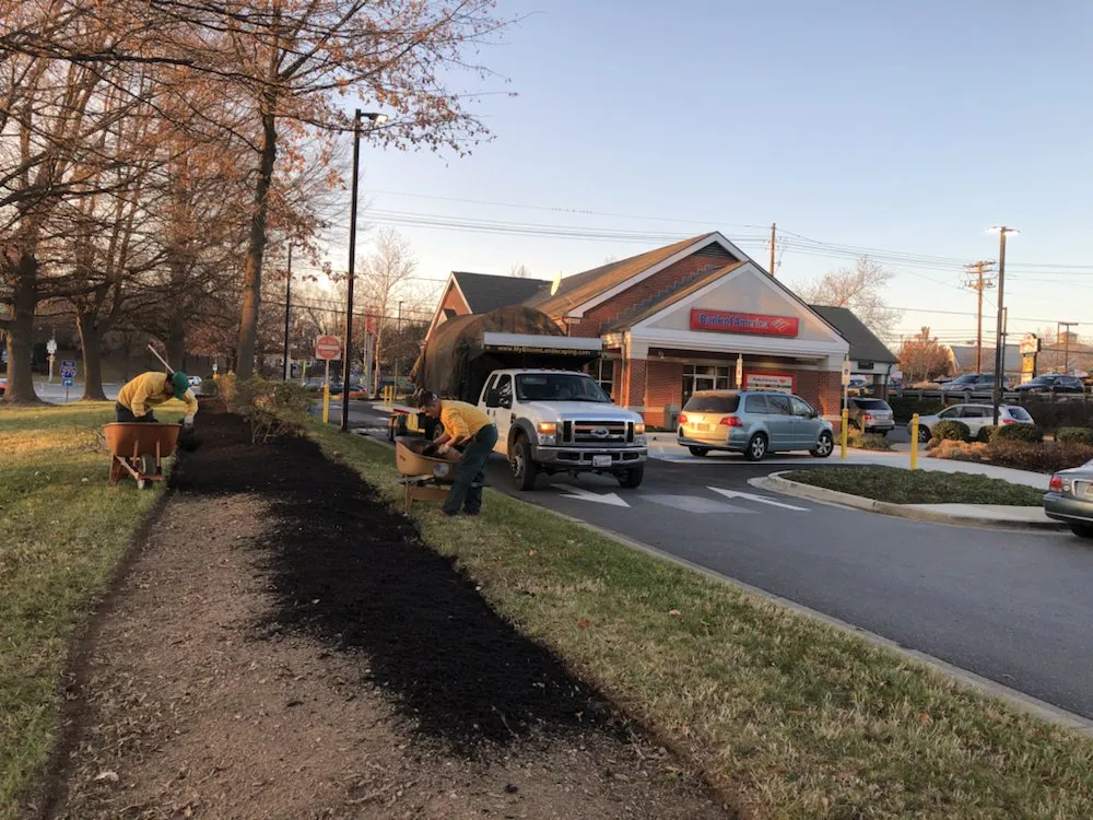 Reliable yard cleanup service in Gaithersburg, MD - My Bloom Landscape Services