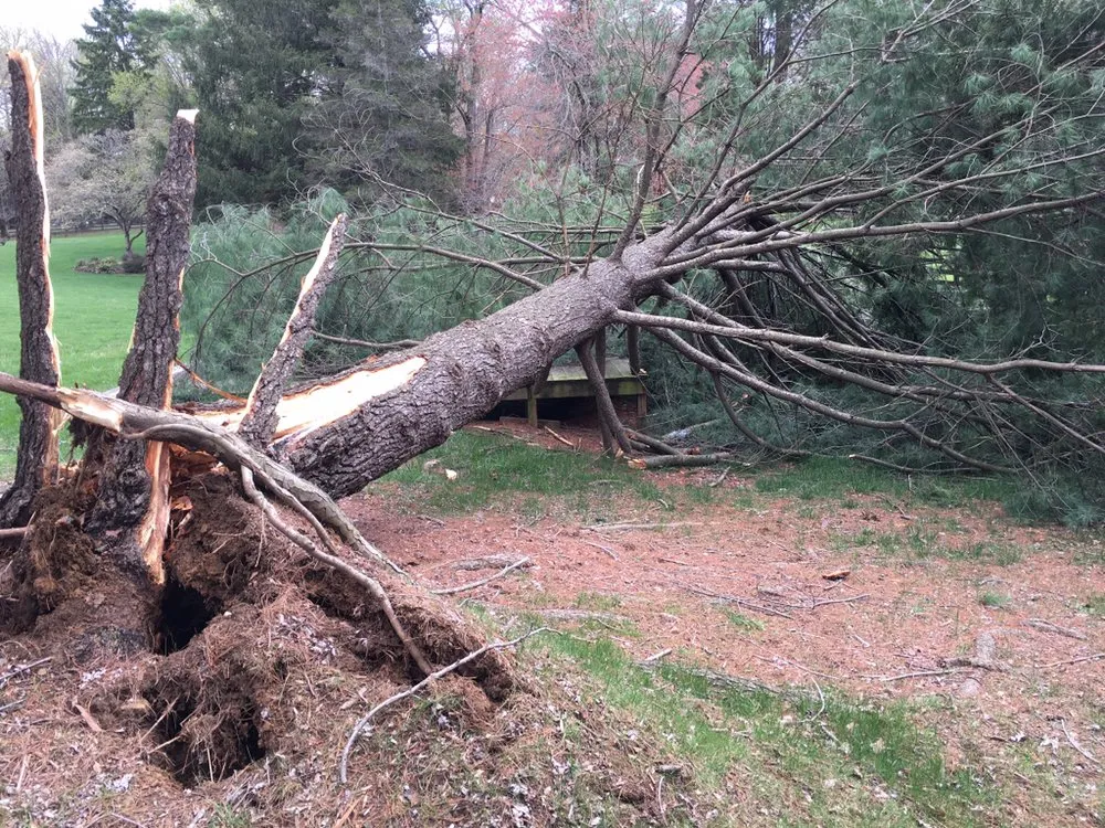 Affordable lawn care service in Gaithersburg, MD by My Bloom Landscape Services