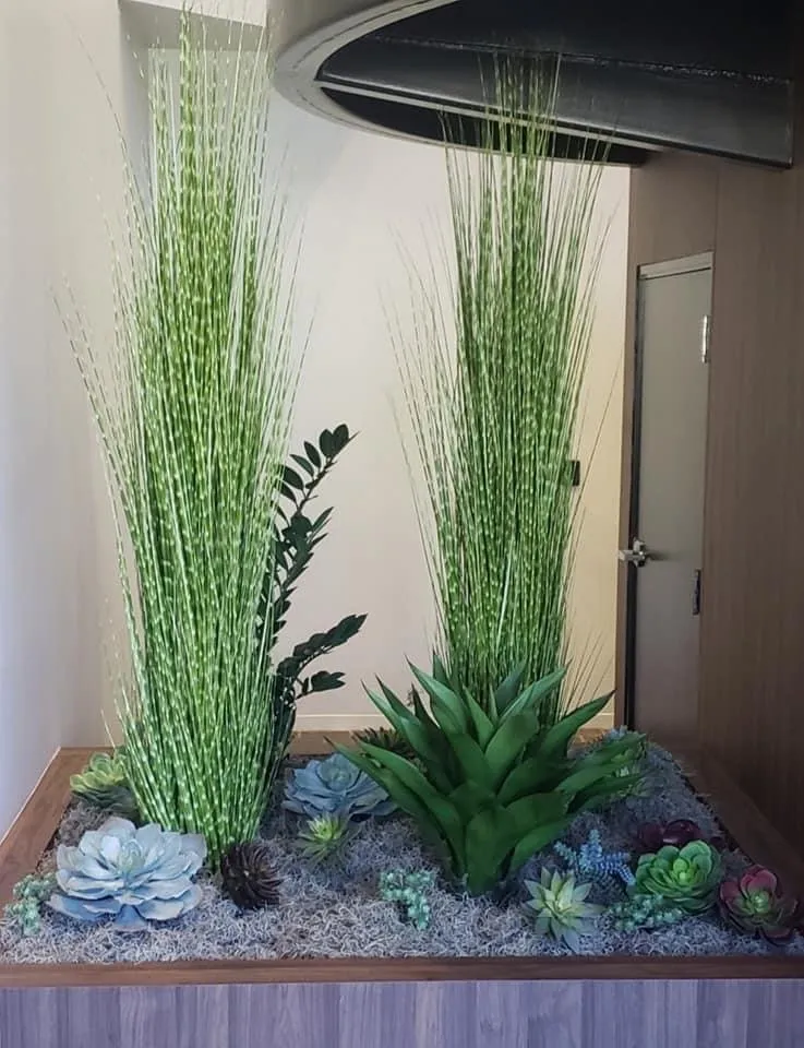 Custom yard cleanup service in Laguna Beach, CA by My Botanica