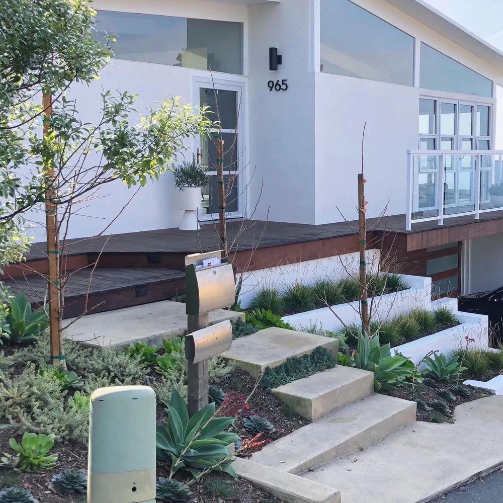 Professional residential landscaping in Laguna Beach, CA by My Botanica