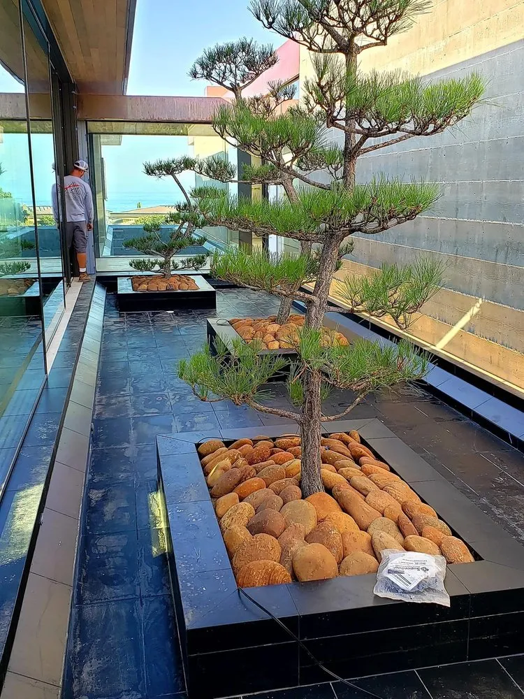 Local yard maintenance for residential properties across Laguna Beach, CA - My Botanica