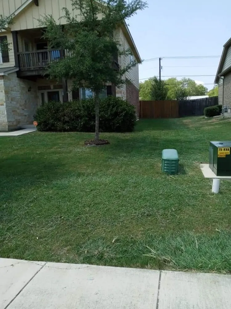 Affordable outdoor landscaping for year-round maintenance in Canyon Lake, TX by My Brother's Lawn Service