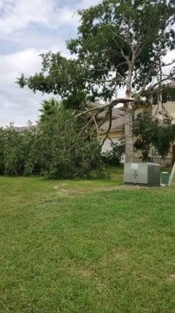 Trusted yard maintenance in Canyon Lake, TX - My Brother's Lawn Service