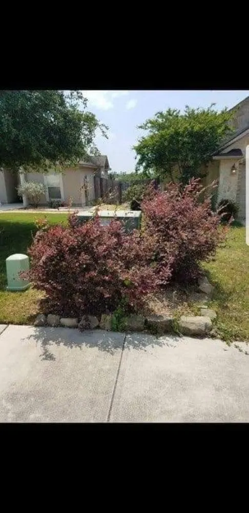 Custom yard maintenance experts serving Canyon Lake, TX - My Brother's Lawn Service