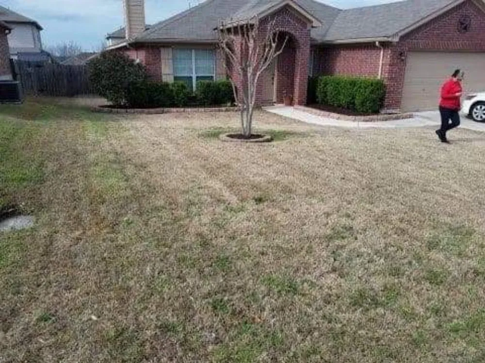 Local landscape design for homes across Canyon Lake, TX - My Brother's Lawn Service