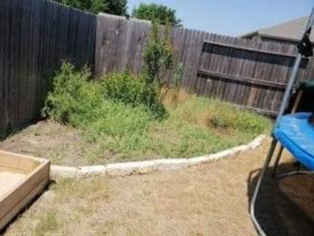 Expert yard maintenance in Canyon Lake, TX by My Brother's Lawn Service