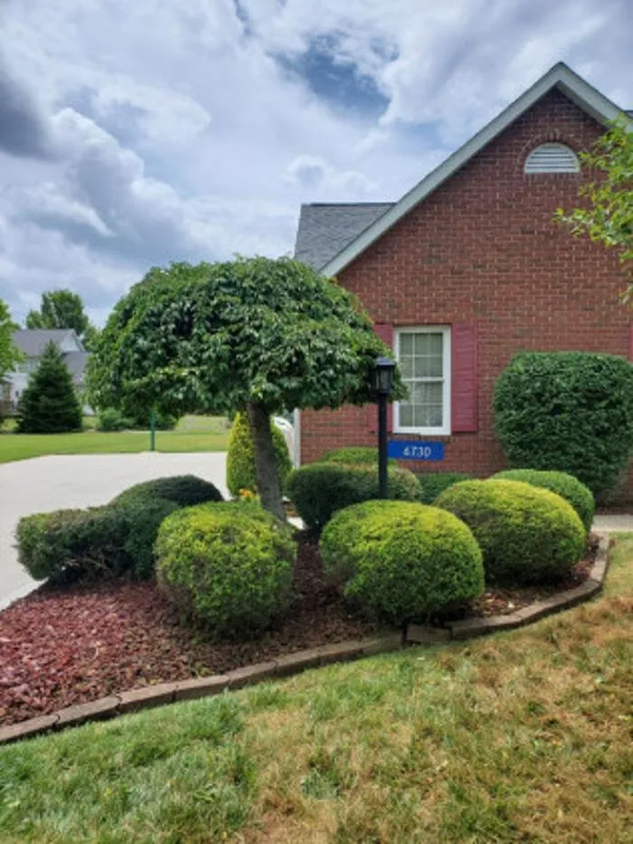 Local landscape design experts serving Canton, OH - My Buckeye Lawn