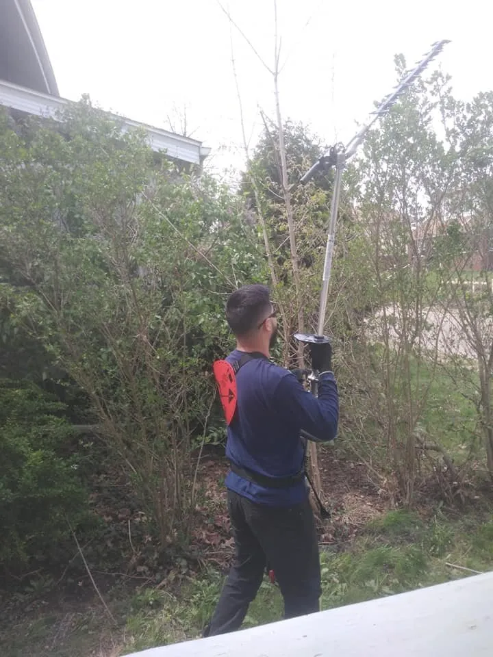 Custom yard maintenance near you in Canton, OH by My Buckeye Lawn