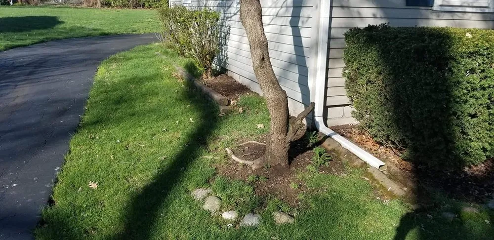 Professional landscape installation experts serving Canton, OH - My Buckeye Lawn