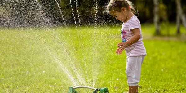 Top-rated yard cleanup service for outdoor upgrades across Canton, OH - My Buckeye Lawn