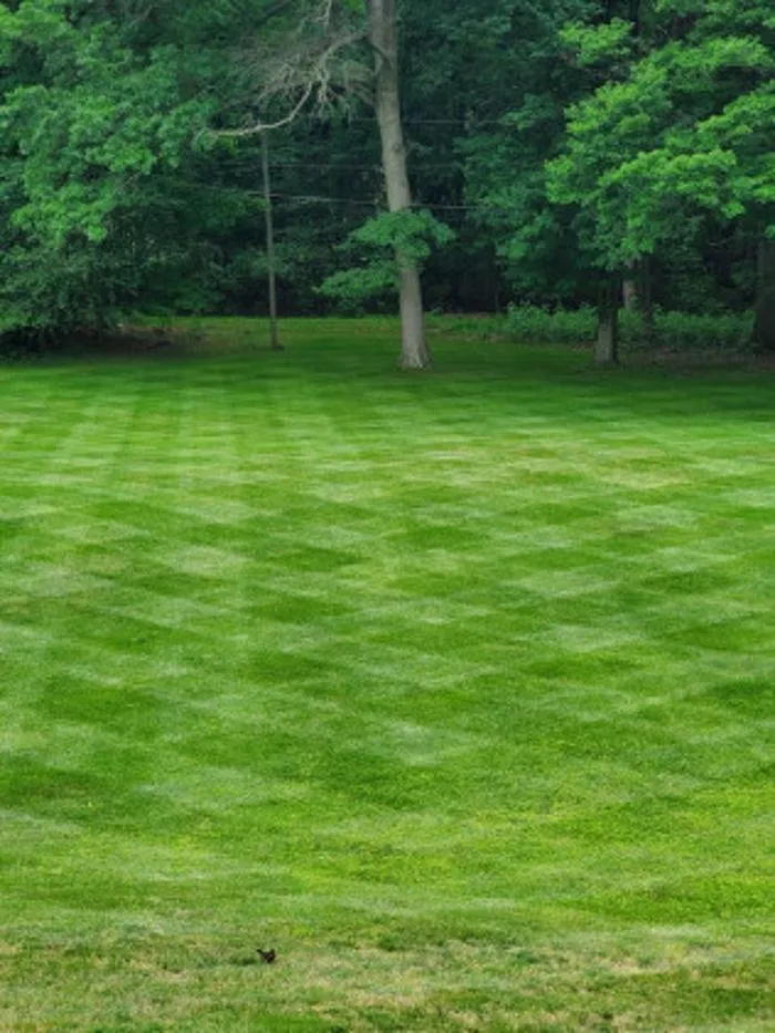Affordable lawn care service for homes in Canton, OH by My Buckeye Lawn