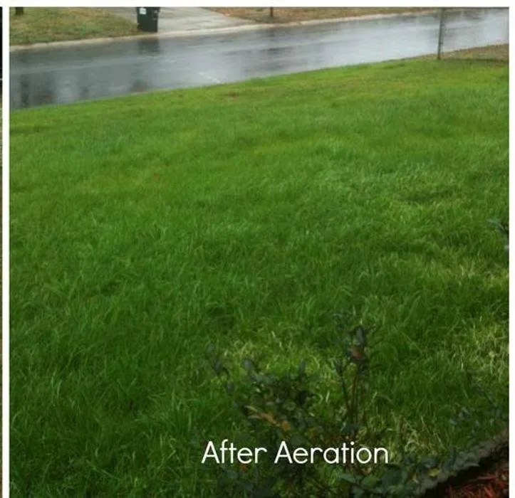 Top-rated landscape design in Canton, OH by My Buckeye Lawn