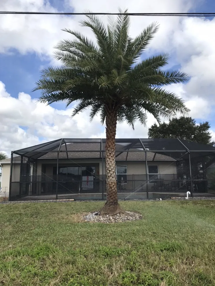 Top-rated yard maintenance experts serving Cape Coral, FL - My Buddy’s Lawn Service