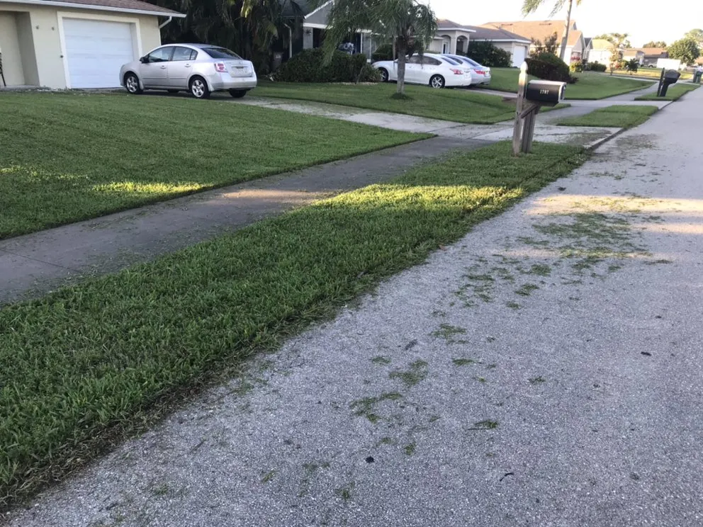 Top-rated yard cleanup service experts serving Cape Coral, FL - My Buddy’s Lawn Service