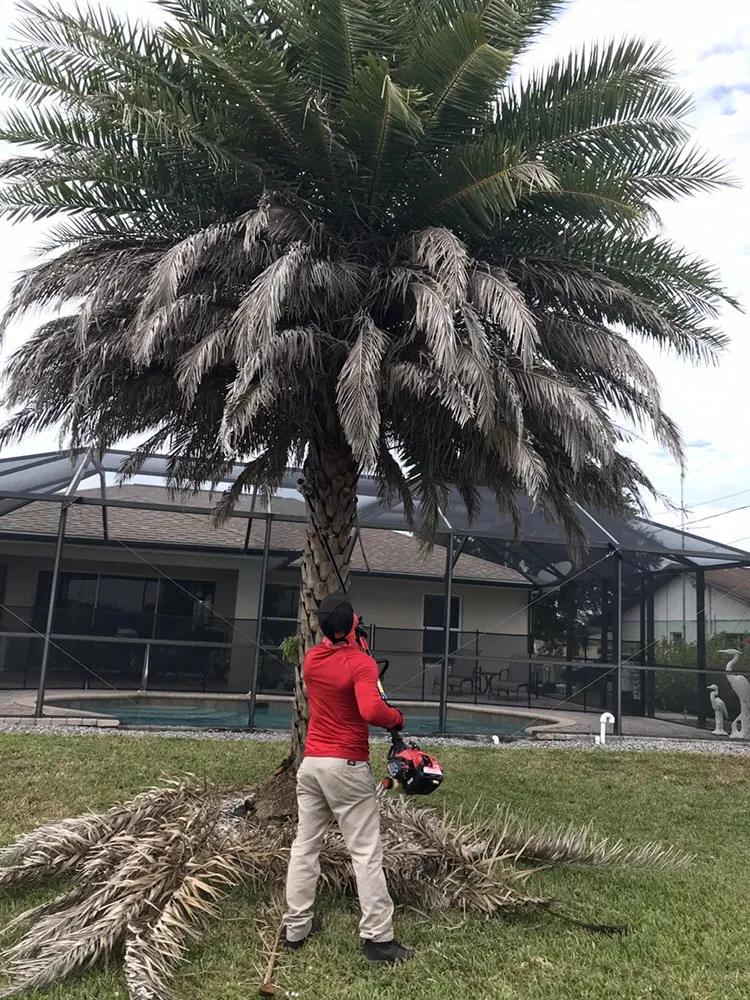 Top-rated landscape installation for outdoor upgrades in Cape Coral, FL by My Buddy’s Lawn Service