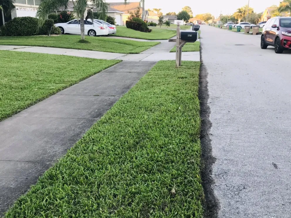 Trusted lawn care service experts serving Cape Coral, FL - My Buddy’s Lawn Service